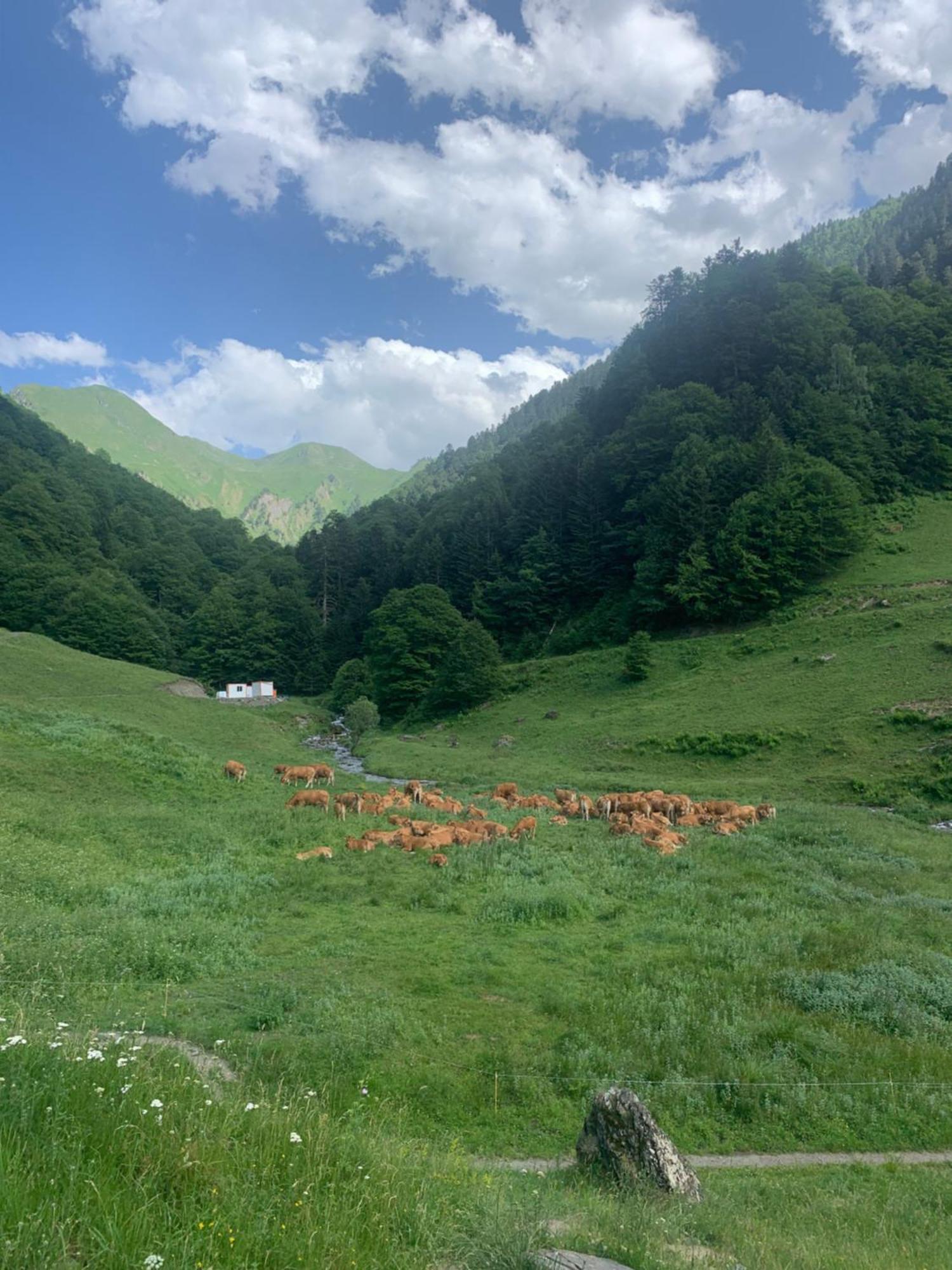 Appartement 2 Personnes Cures Ski Luchon Bagnères-de-Luchon 외부 사진
